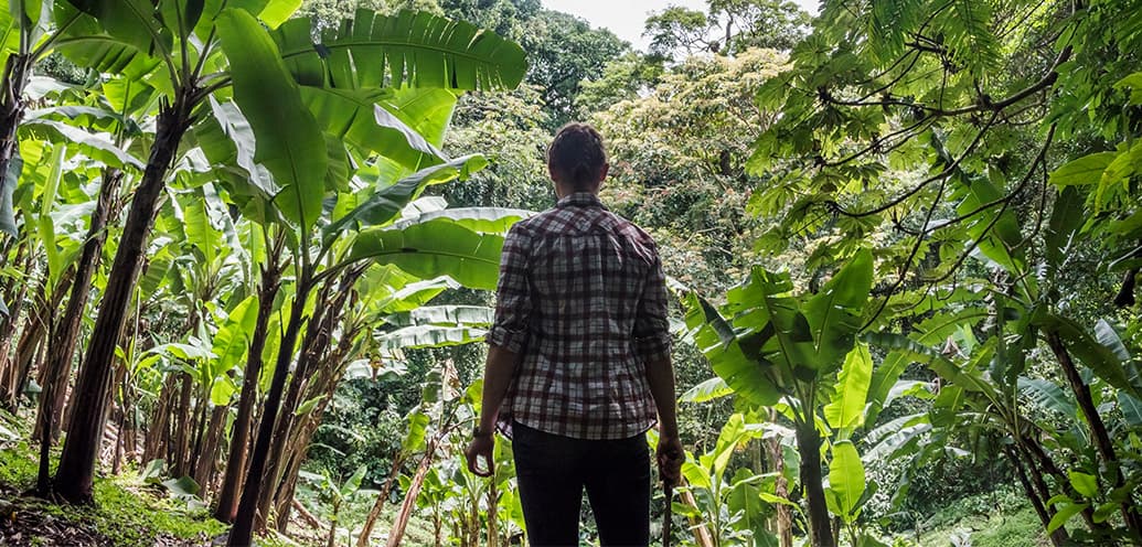 Michaela Rubenstein leads tourists and scientists through the forest in Costa Rica's Cloud Forest.