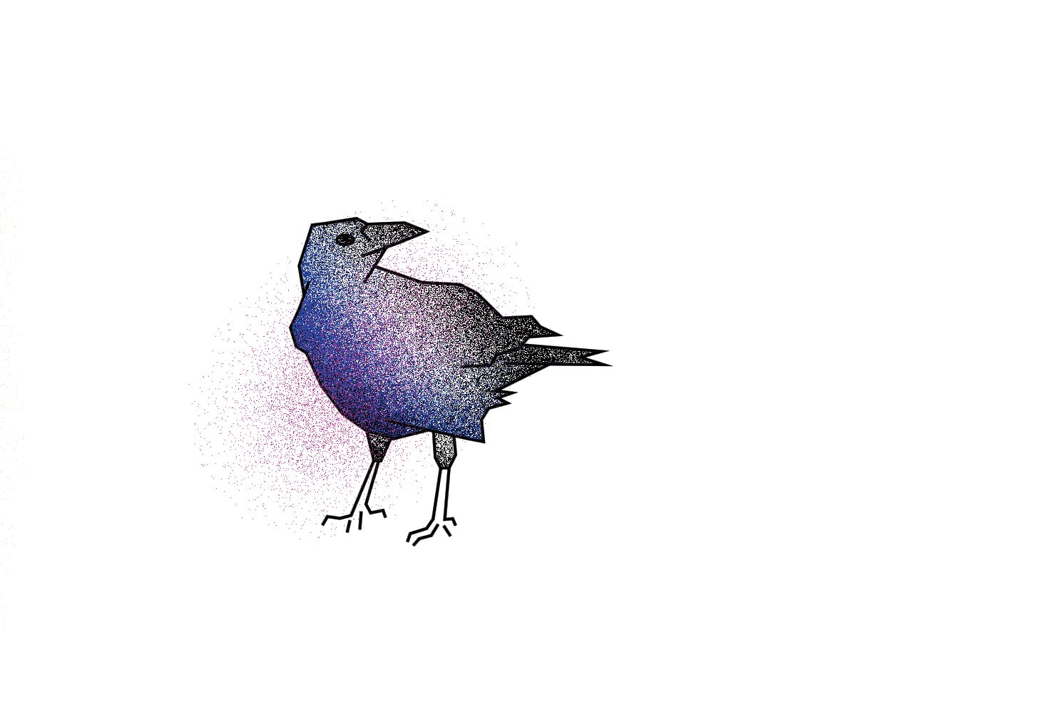crow