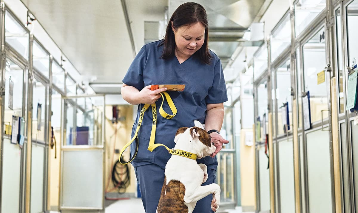 Jennifer Bennett rewards a dog with treats - Photo by Garland Cary