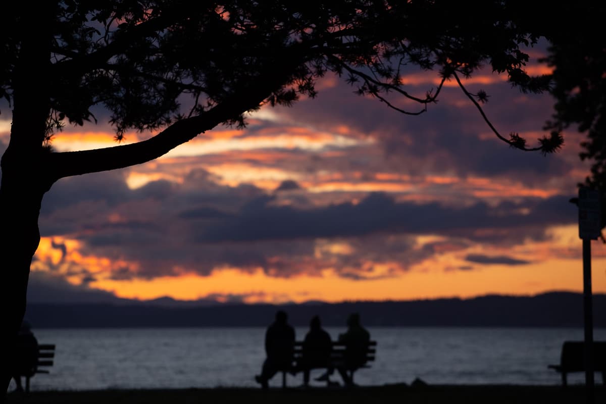 golden gardens at sunset