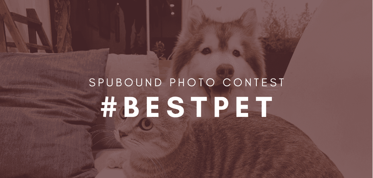 #bestpet
