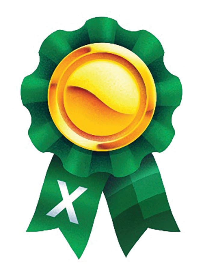 Perfect score Excel ribbon Illustration by Dom Guzman