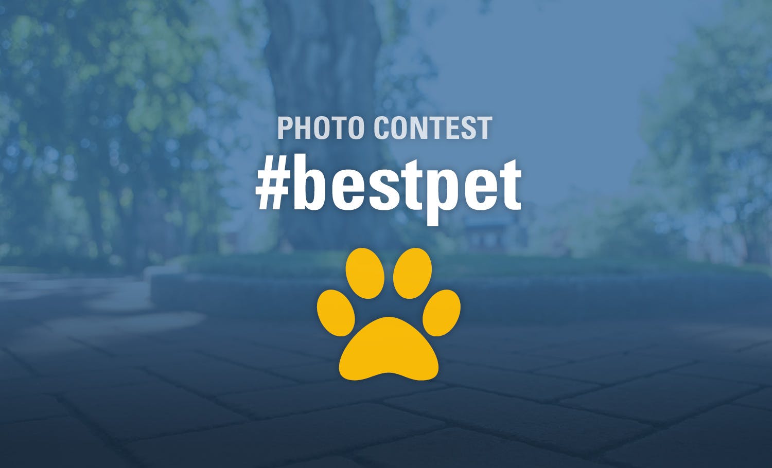 SPU's best pet photo contest