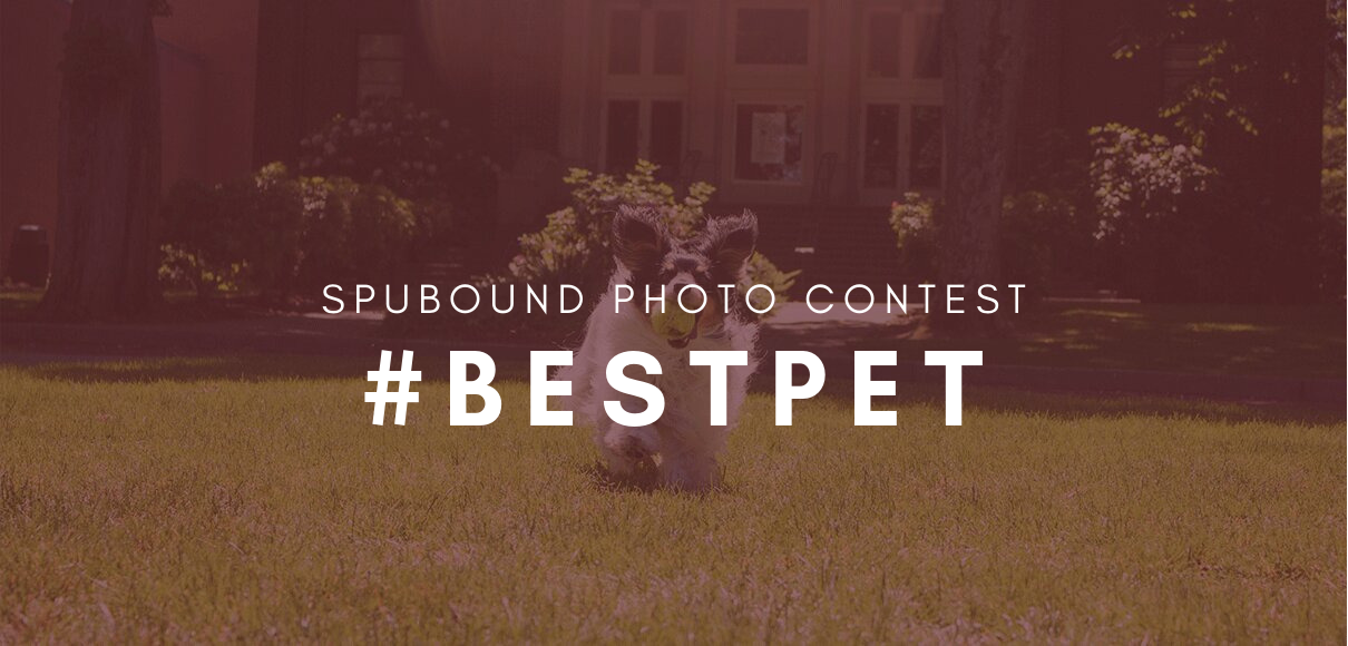 spubound photo contest #bestpet