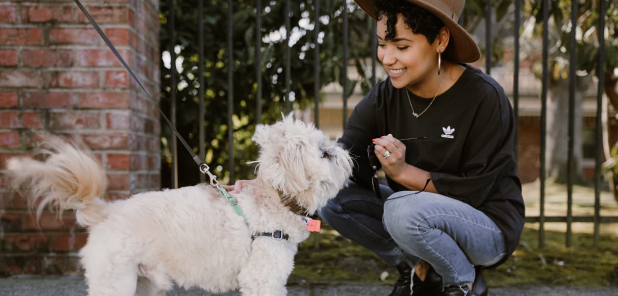 BONUS: “Top Three Tips for Admissions,” with Ineliz Soto-Fuller