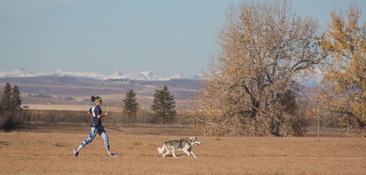 Pulling ahead: SPU grad represents Team USA in canicross